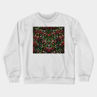 Mix colors Crewneck Sweatshirt